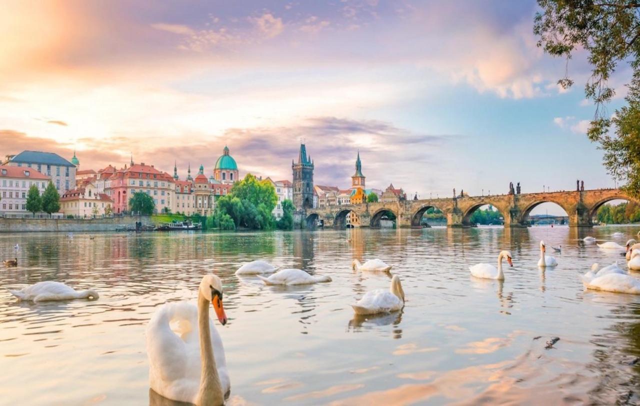 White Swan Boutique Apartments Прага Экстерьер фото
