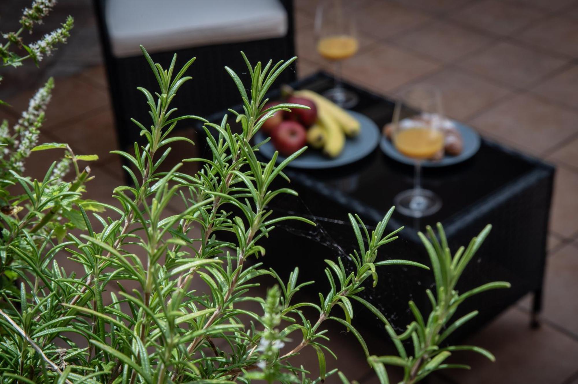 White Swan Boutique Apartments Прага Экстерьер фото